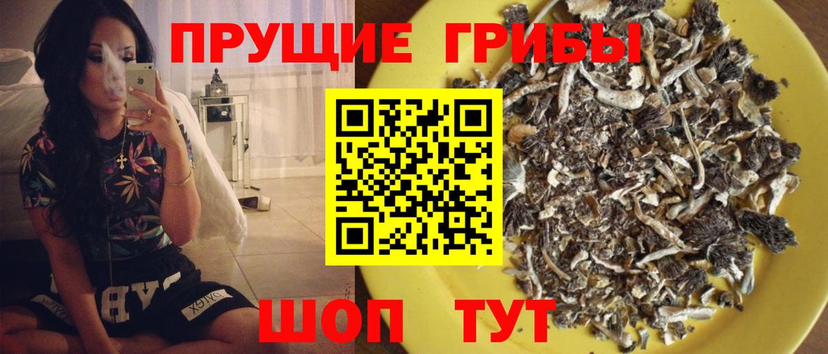 Волоколамск  Псилоцибиновые грибы ЛСД  Галлюциногенные грибы прущие грибы  Вход с VPN 