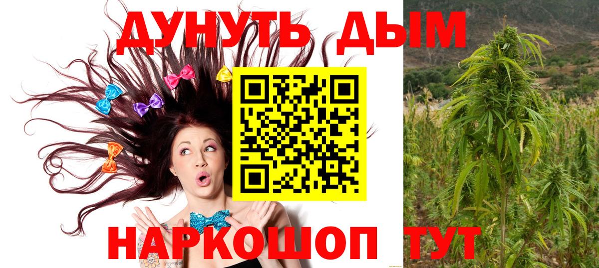 Бошки Шишки тримм  Вход с VPN  Волоколамск  Бошки Шишки сатива 